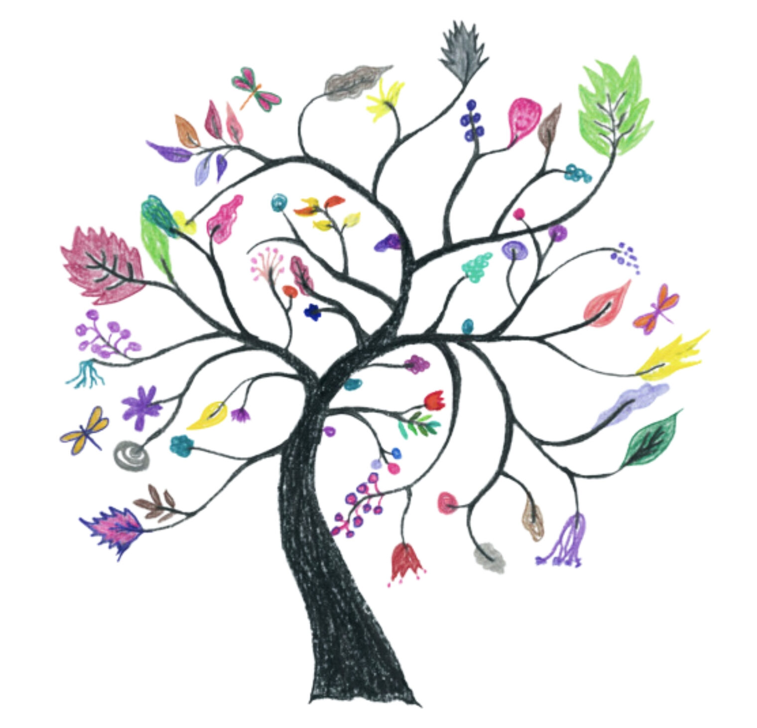 oanel-therapie.com
